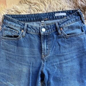 Blaire Blue Jeans Classic Denim Style